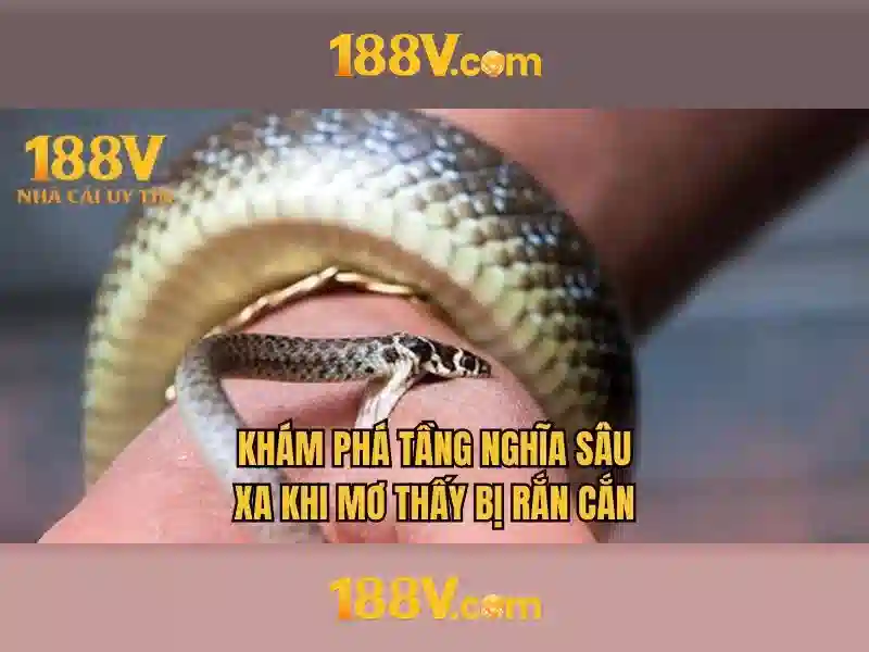 188v là gì và ý nghĩa của nó