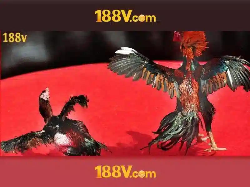 Ứng dụng thực tế của tải 188v