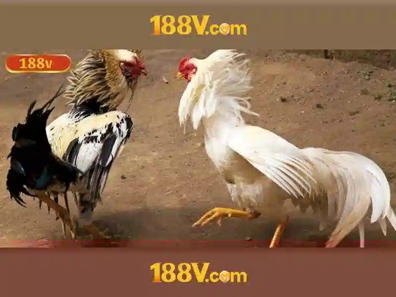 nguon-va-su-menh-188v