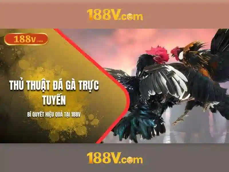Phong cách thể hiện và triết lý