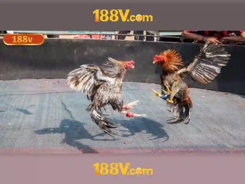 188v va tuong lai