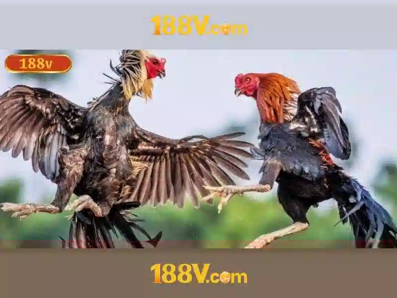 tại app 188v – chủ đề tổng quan và giá trị cốt lõi