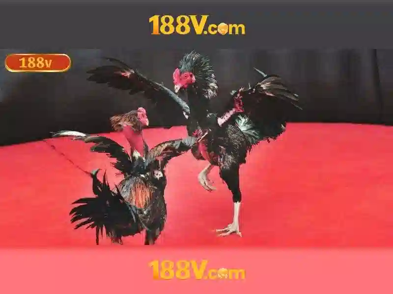 Nguyên lý vận hành của 188v