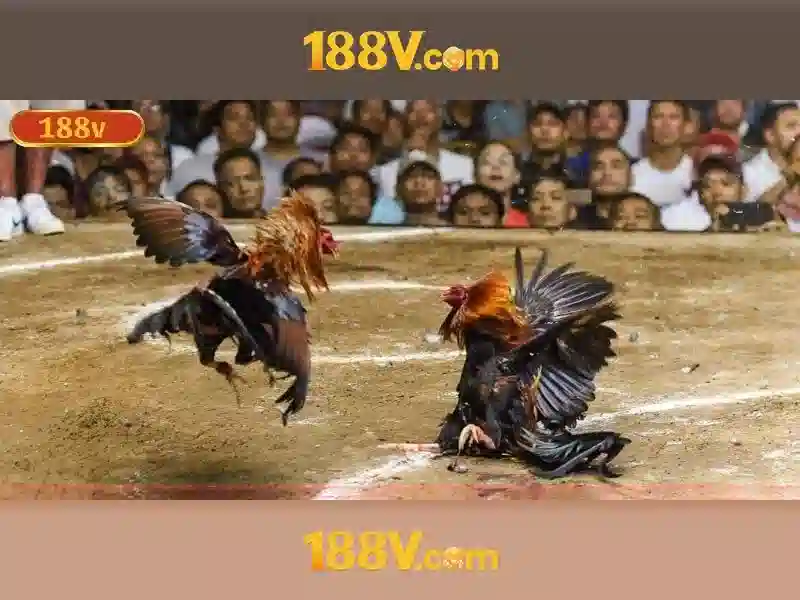 188v vom: Trải nghiệm nổi bật và hướng dẫn tải 188v