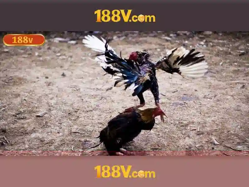 188v: một khái niệm công nghệ và sự tò mò
