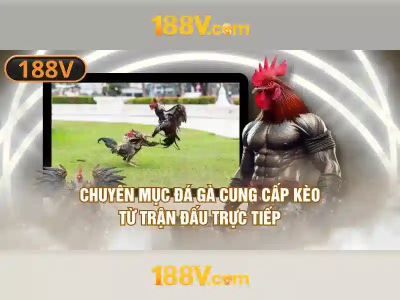 Ảnh hưởng xã hội và kinh tế