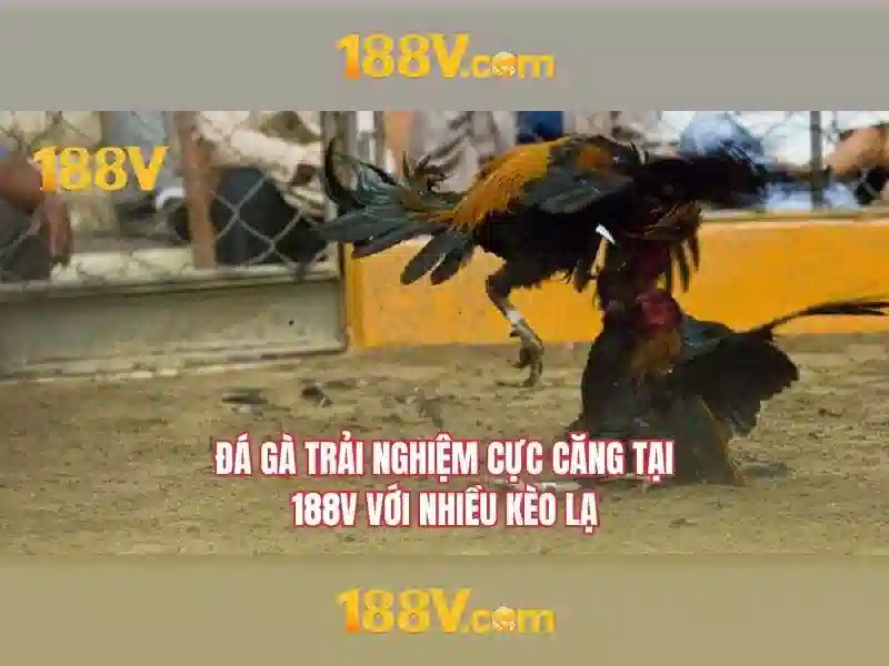 Khám phá 188v: khái niệm nghệ thuật và công nghệ