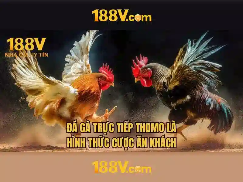 'Ứng dụng và ví dụ'