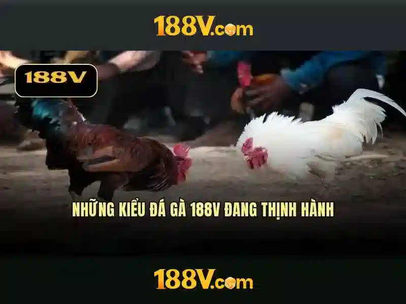 Khái niệm và nguồn gốc