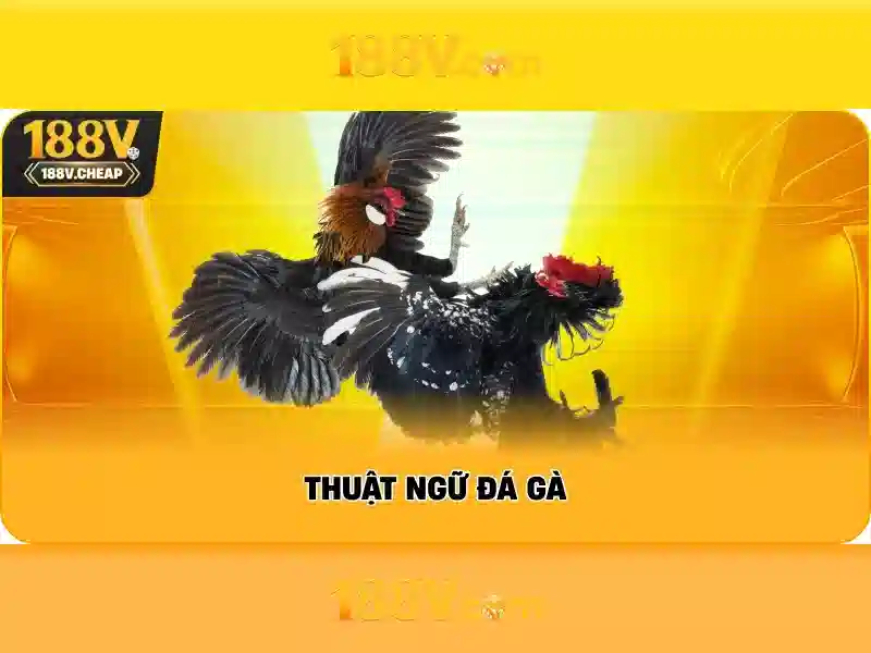 188v win: Khám phá trải nghiệm và giá trị nổi bật