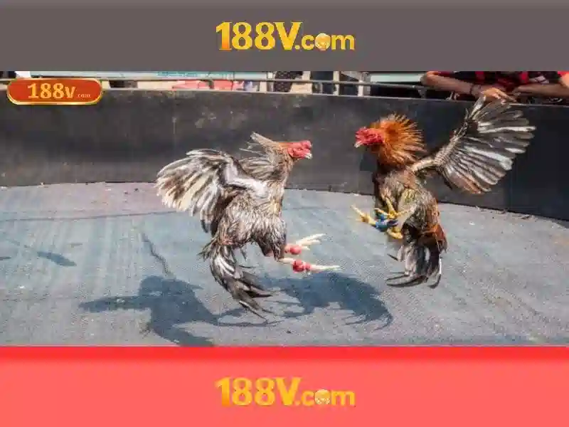 Nguồn gốc và ý nghĩa