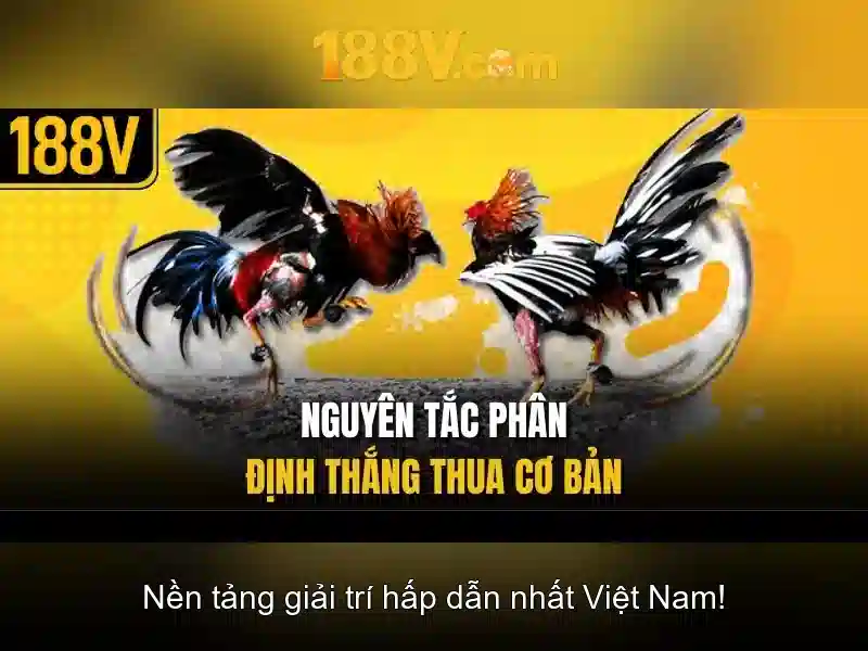 <!--IMG_PLACEHOLDER alt>Phản hồi từ cộng đồng cá cược 188v-->