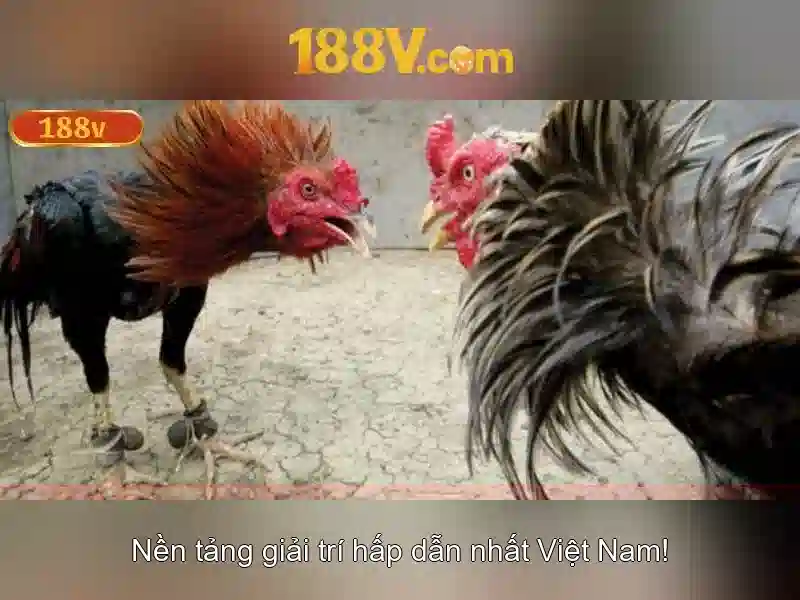 188v: một cái nhìn tổng thể