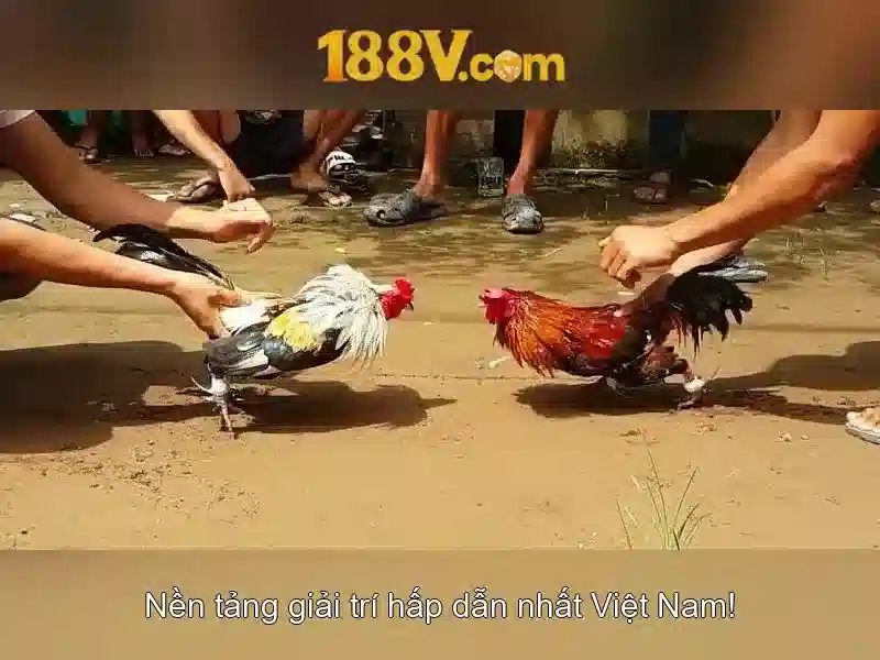 Ý nghĩa của 188v trong công nghệ