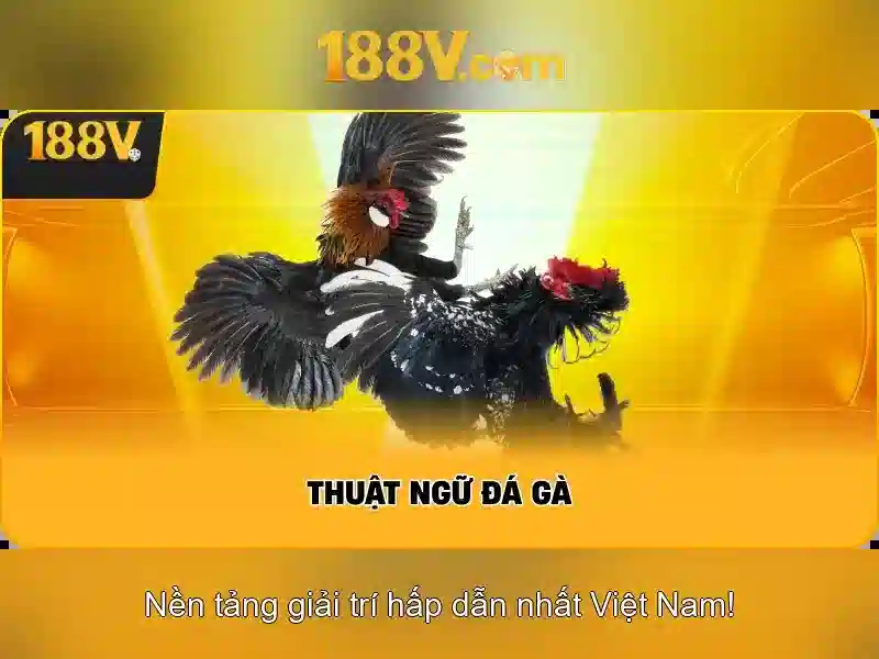 Khái niệm 188v