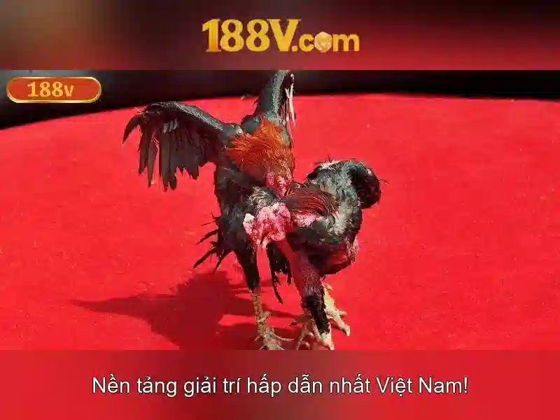 Nguồn gốc và ý nghĩa