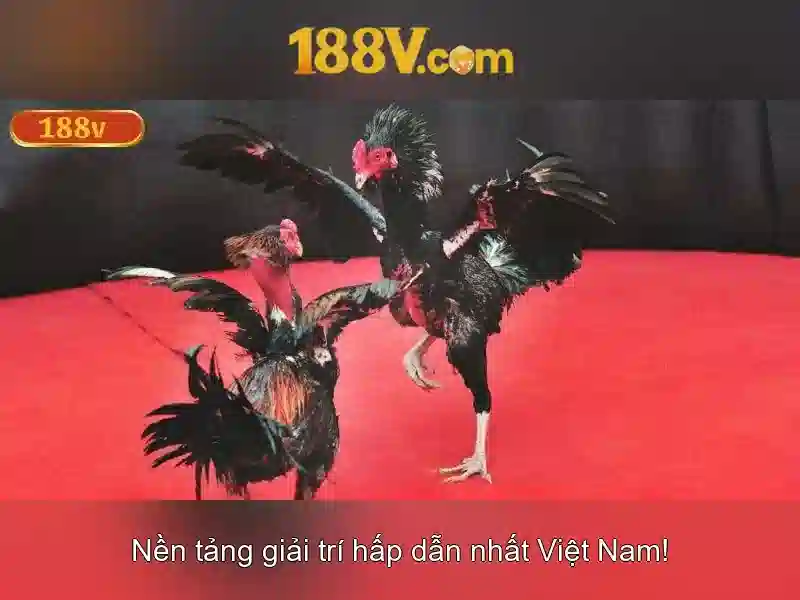 188v và hành trình của một huyền thoại công nghệ