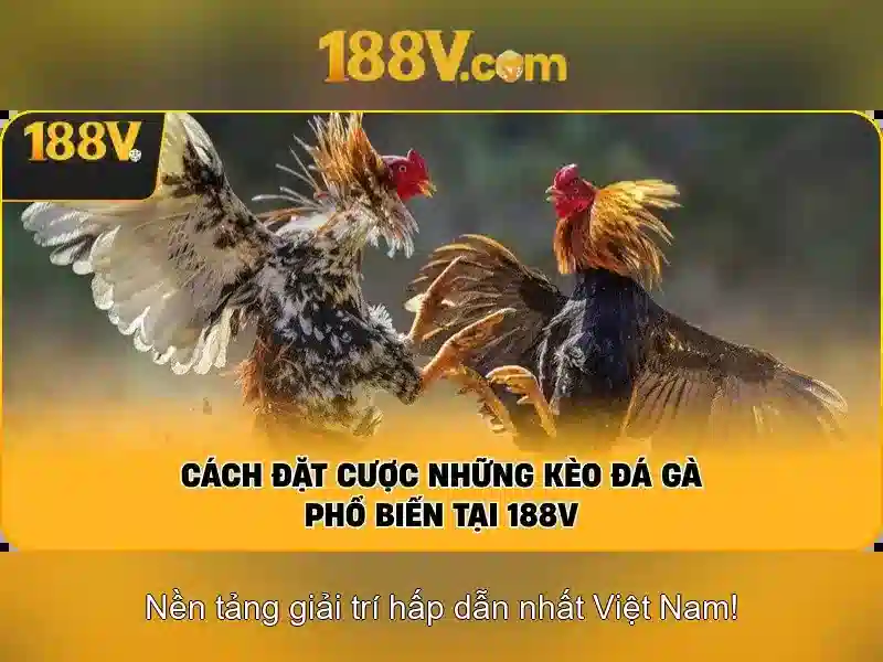 188V: Ý nghĩa, nguồn gốc và ứng dụng