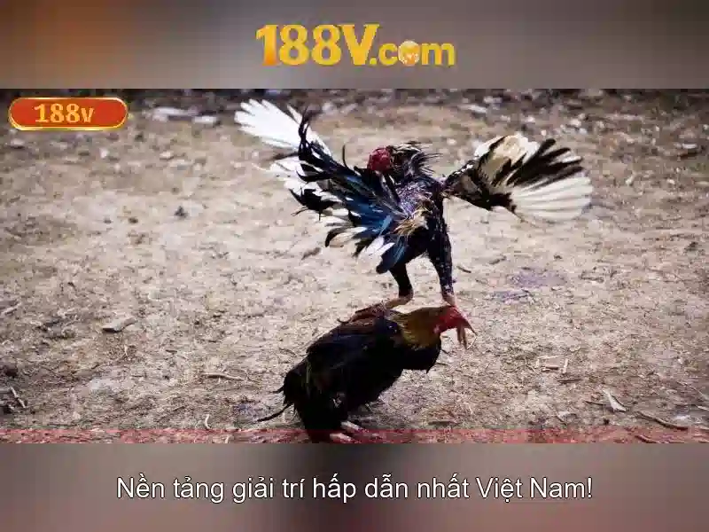 Ứng dụng ngày nay của 188v