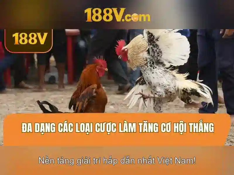 Nguồn gốc và đặc điểm