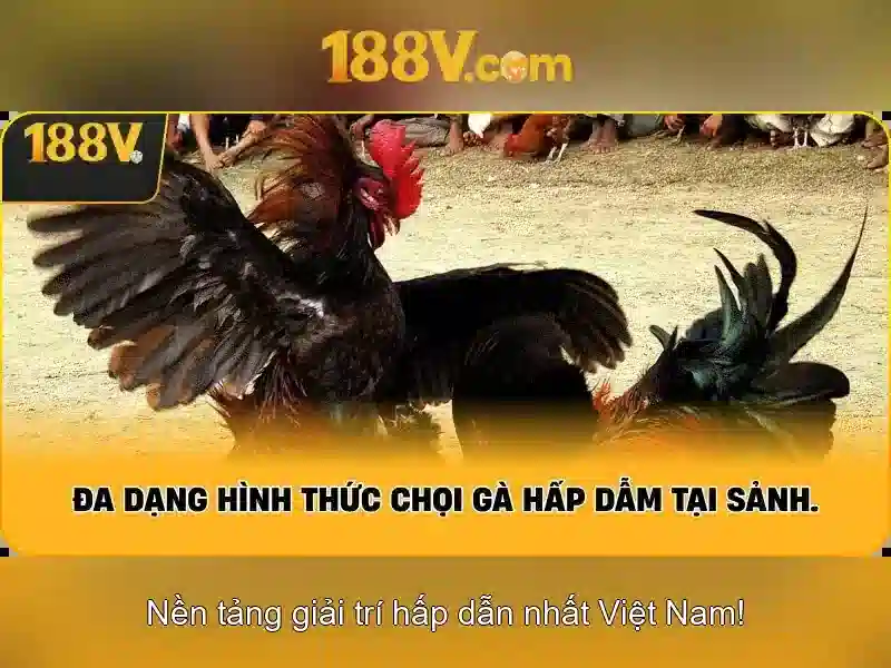 Khái niệm 188v và hành trình giữa số và thị giác