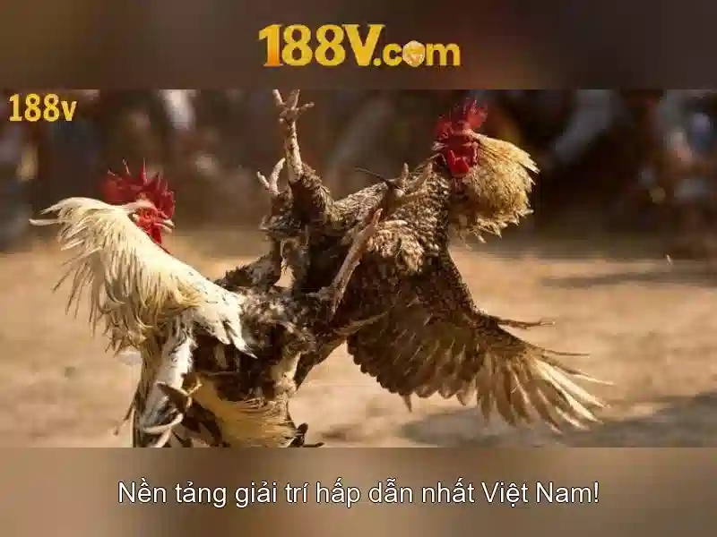 Nguồn gốc và ý nghĩa của 188v