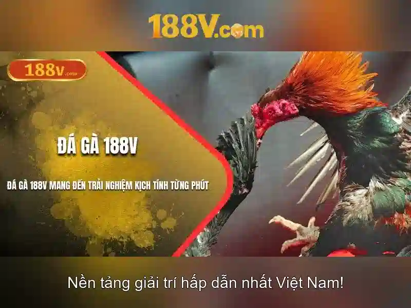 188v bet – Đánh giá chi tiết và trải nghiệm 188v ios