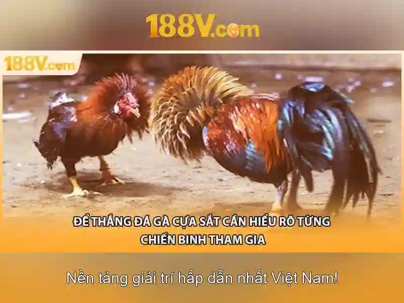 Nguyên lý cơ bản của 188v
