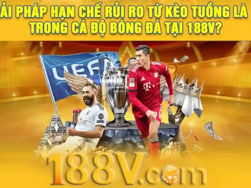 Trải nghiệm người dùng và phản hồi cộng đồng