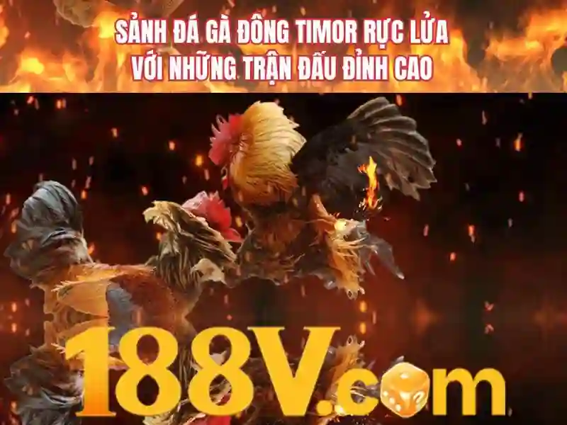 188v: hành trình khám phá con số và câu chuyện của nó